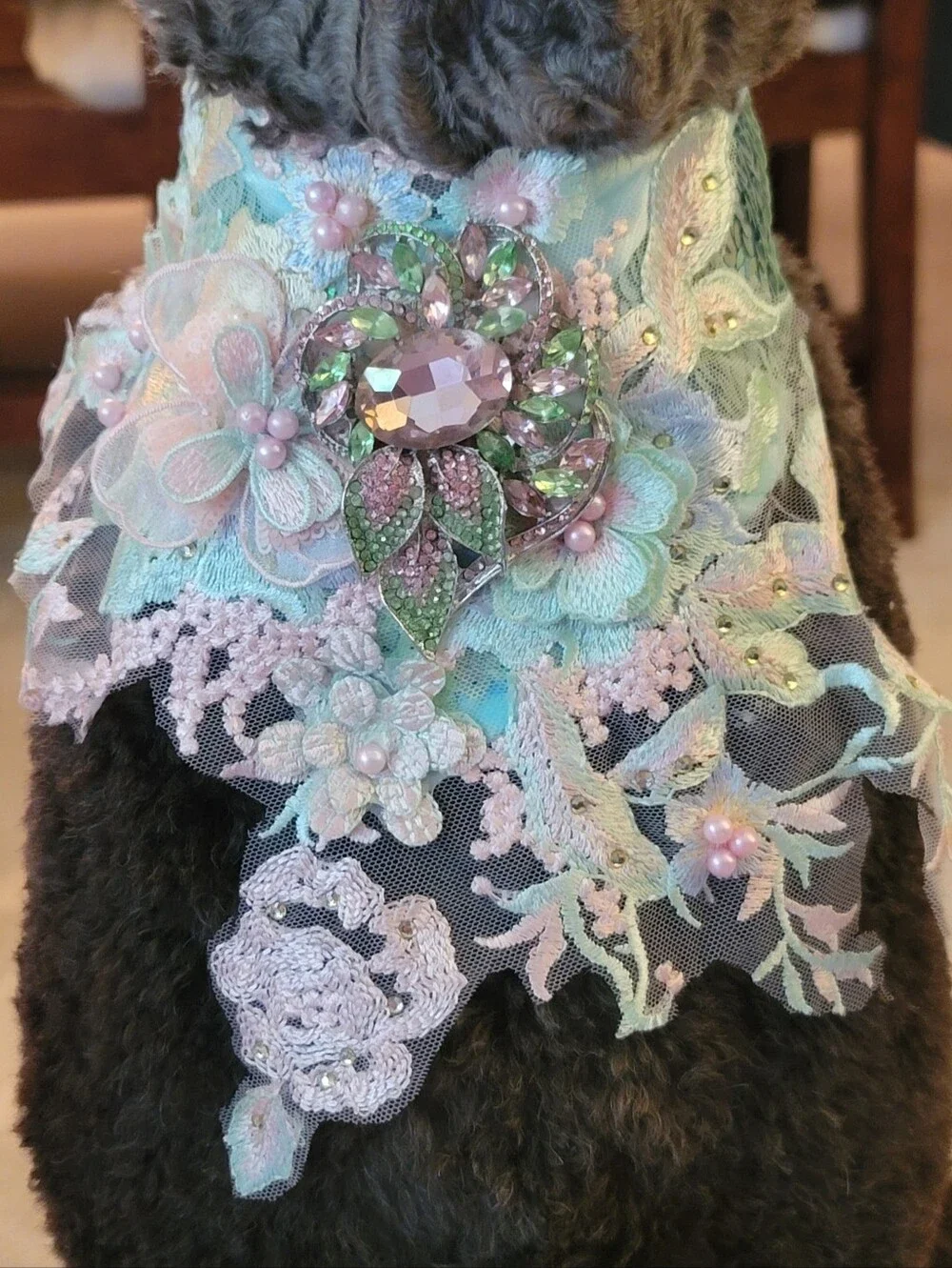 Embellished Crystal Dog Statement Collar